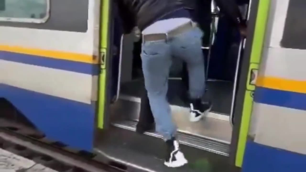 African migrant freeloader throws conductor off train