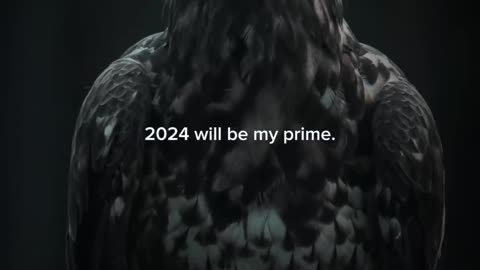 2024 will be prime