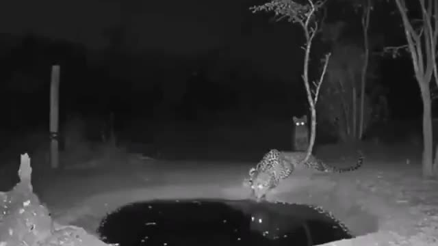 A scare to kill from the heart!
