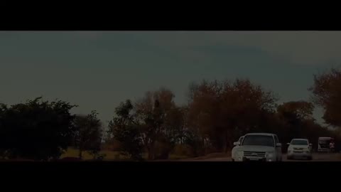 Criminal hand | sidhu moose wala | big bird full video song