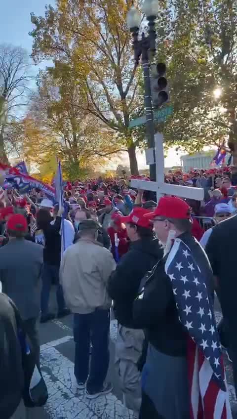 Trump Supporters Rally Washington 15 November