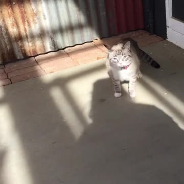 Caty Just Got Out of the Door