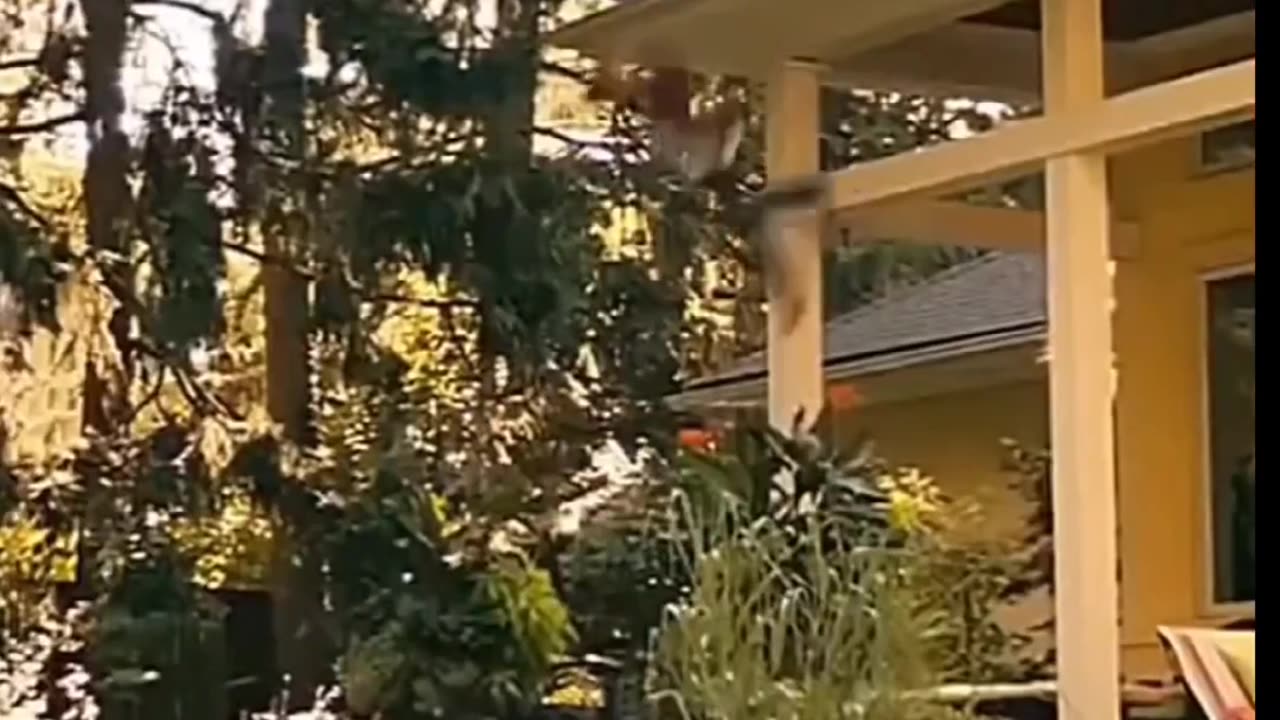 Funny video 🤣😆