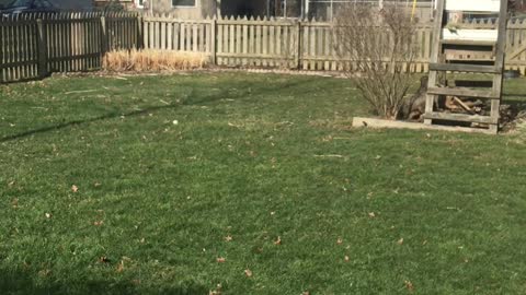 New cheap drone first flight
