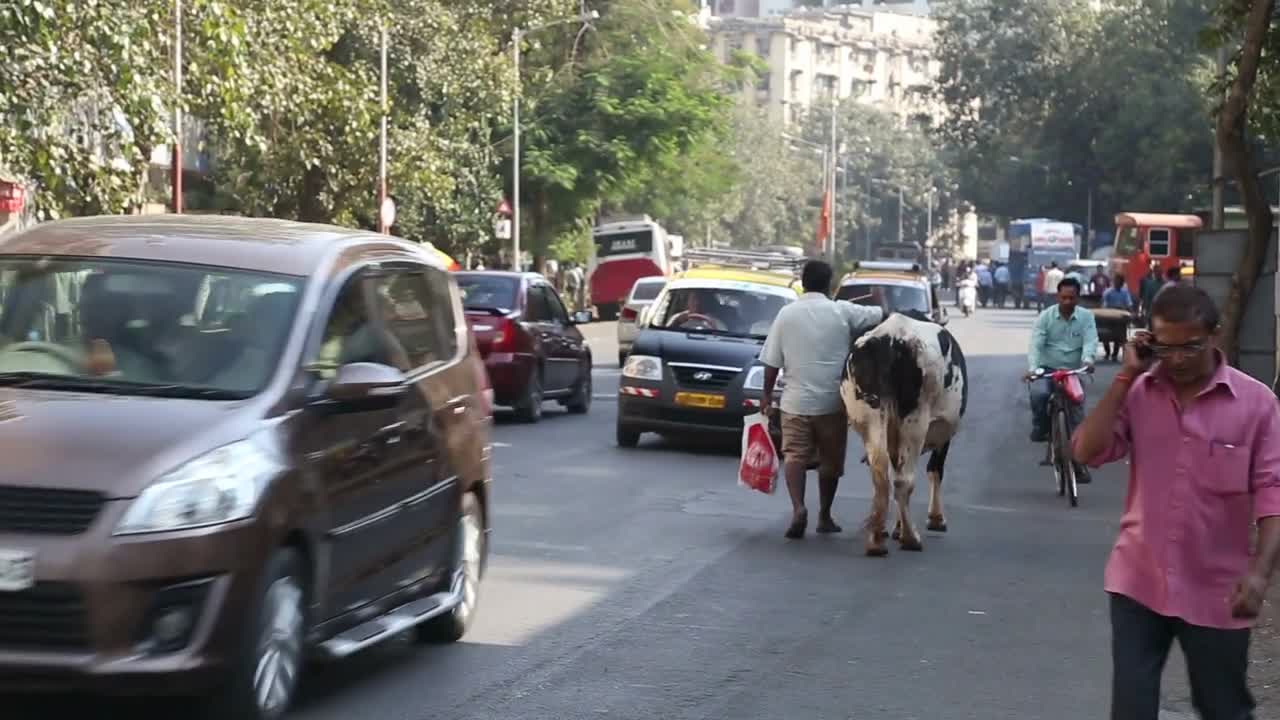 Back view of a man leading a cow on a leash through a busy street in Mumbai