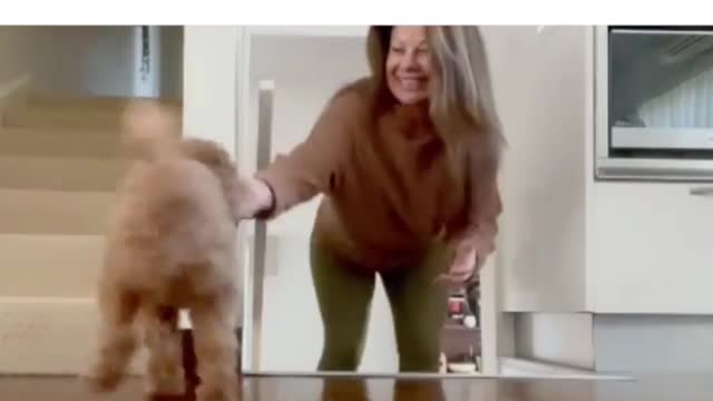 Doggo knows how to scare his hooman | Adorable Pet | Pets At Home