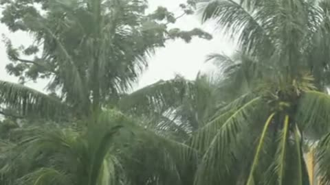 5 Minutes to Relax_ Rain, Soothing Rain Sounds for Sleep, Relaxation, Meditation, Calm, Rain