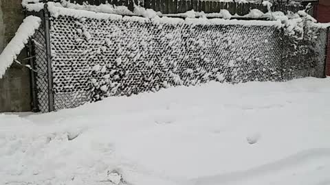 2021 snowstorm in NY out of my Garage