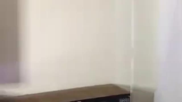 If you like animals, you'll enjoy these.