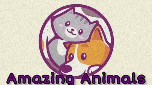 Amazing Animals Pets Unlimited