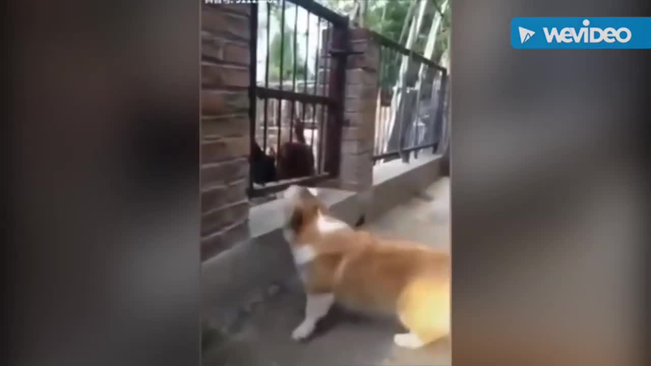 FUNNY TIKTOK COMPILATION 4