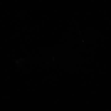 30.10.2024 Party in the Park, Kuranda (3)