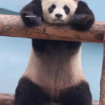 When it’s Easter but no Egg Hunt 😔😔