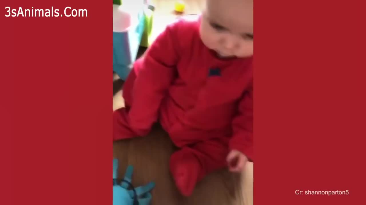 SUPER CUTIEST AND FUNNIEST BABIES IN ALL TIME
