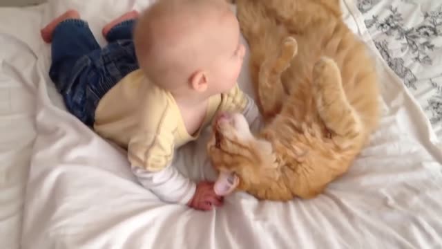 Cats Meeting Babies for the First Time // 2021 Compilation
