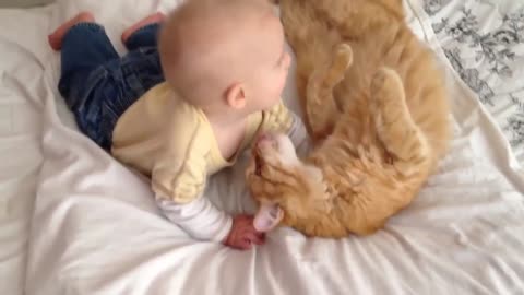 Cats Meeting Babies for the First Time // 2021 Compilation