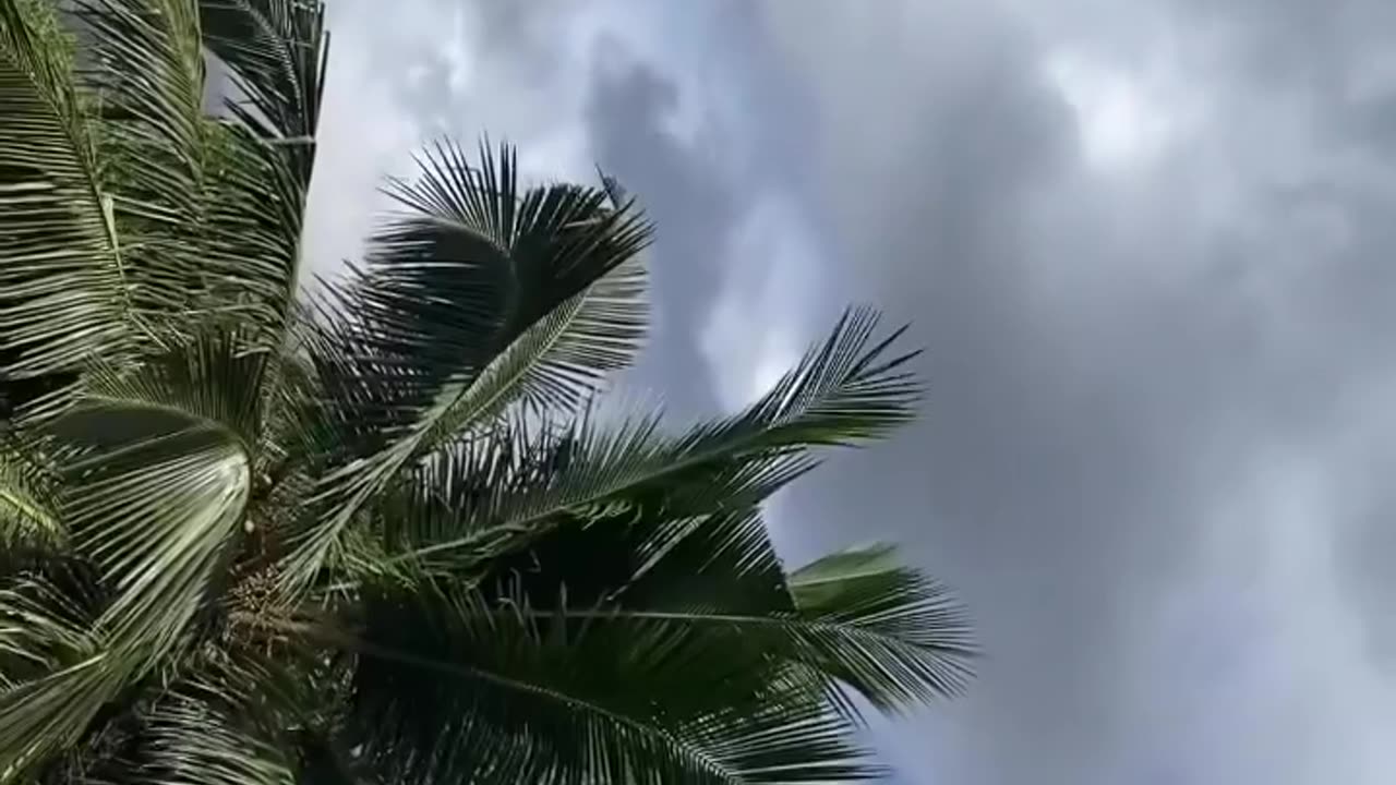 Clouds