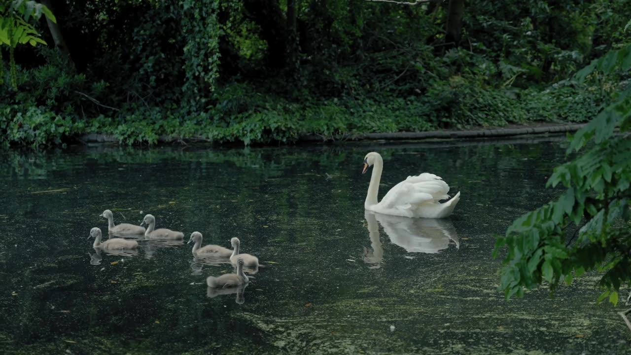 La Belleza De La Naturaleza