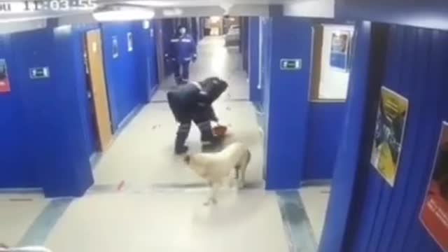 Try not to laugh