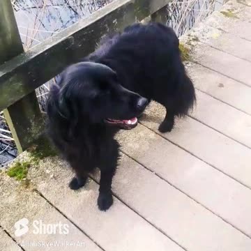 Beginnings are such Delicate Things.