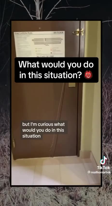 Shorts - Hotel Dangers