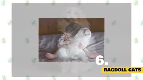 Cats For Kids!!
