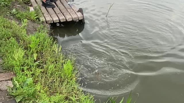I'd like to go fishing