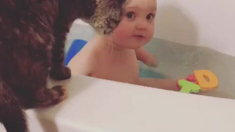Baby Pulls Pet Cat Into The Bathtub!