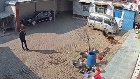 funny video complications