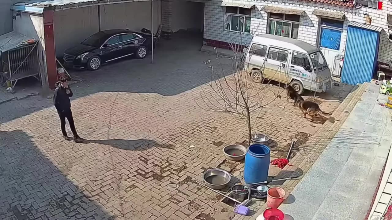 funny video complications