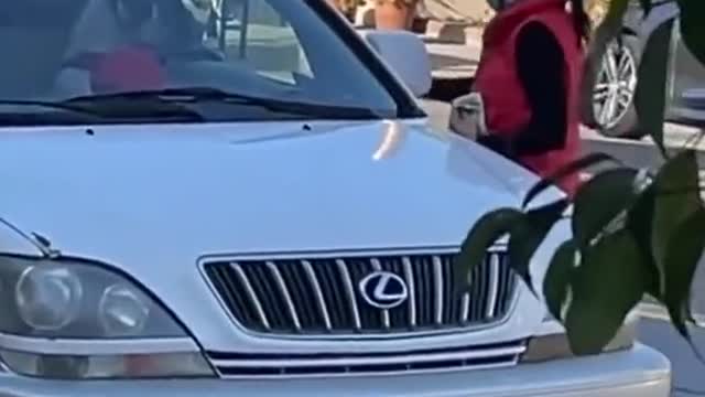 Look what dog does after getting tired of sitting in the car