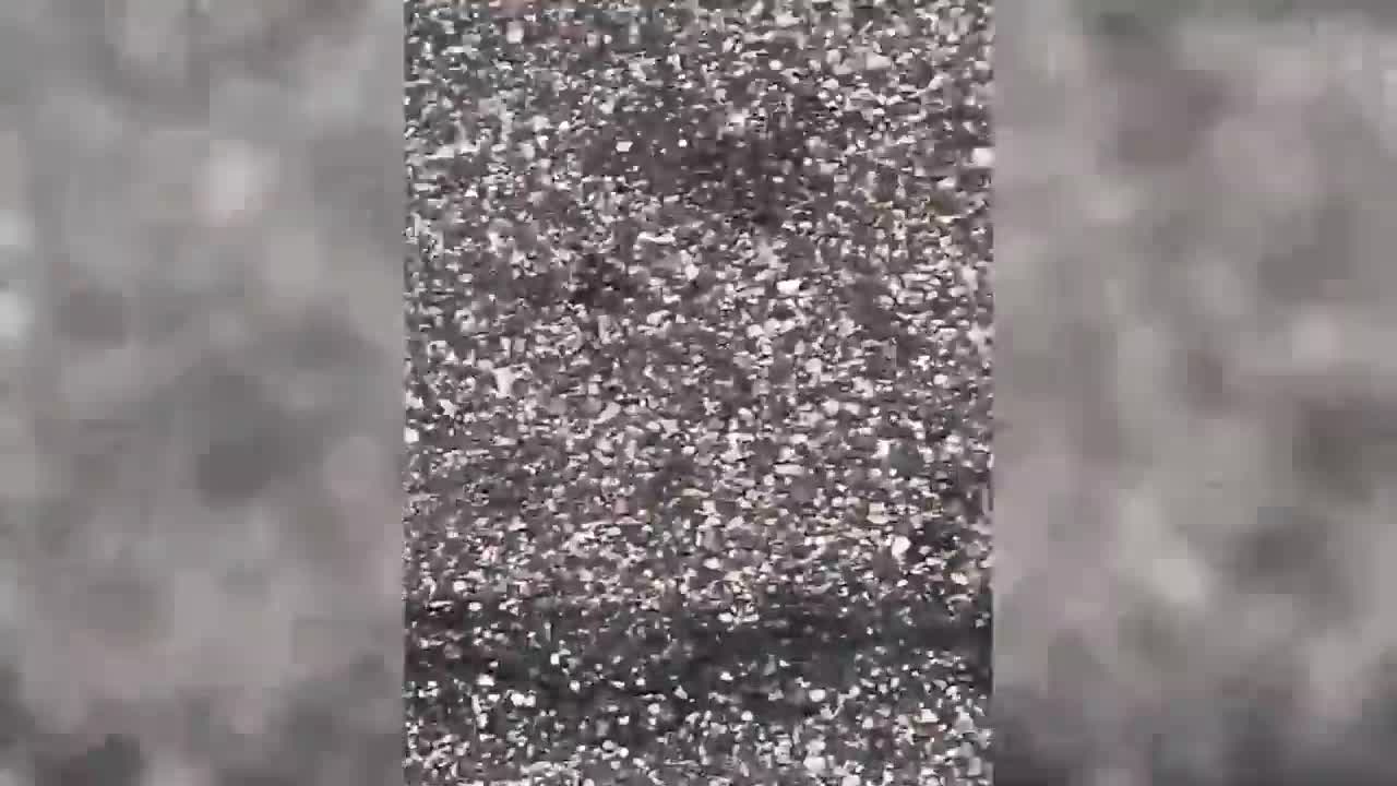 Best Funny Cats And Dogs Of The Month -Try Not To Laugh #3