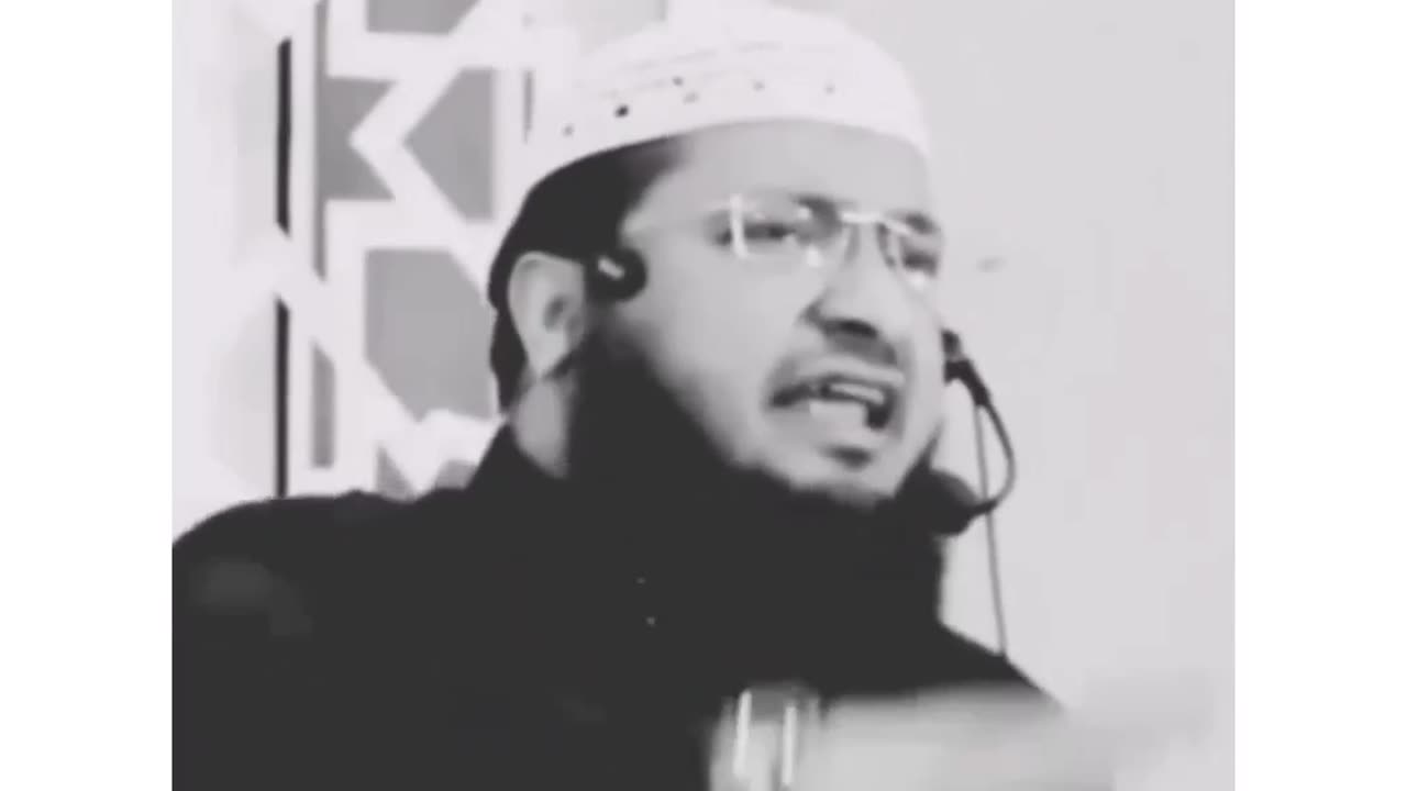 Molana shad is a great
