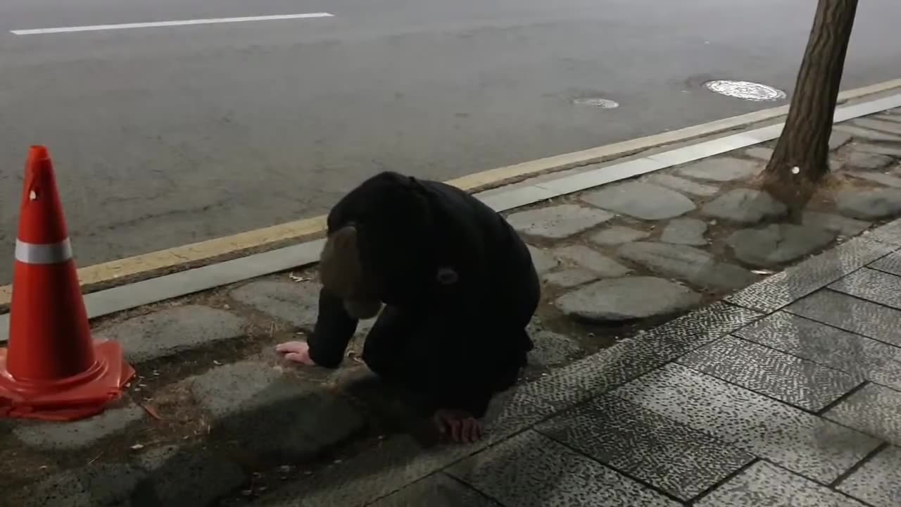 20200311_V3_S01(qRce6gFtL14)심야에 한 청년이 왜 청와대 땅바닥에 무릎을 꿇고