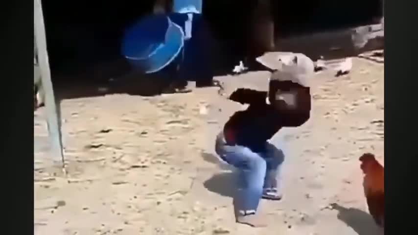 Funny exculsive video