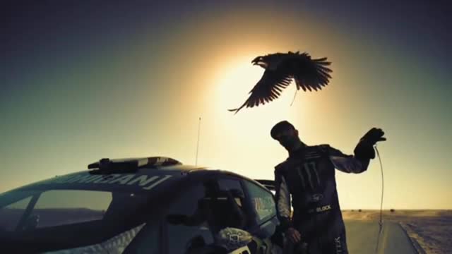 Racing Cars Dubai shocking