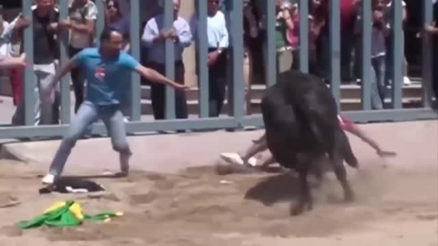 best funny videos.. just for laugh.....bull attacks most comedy scenes