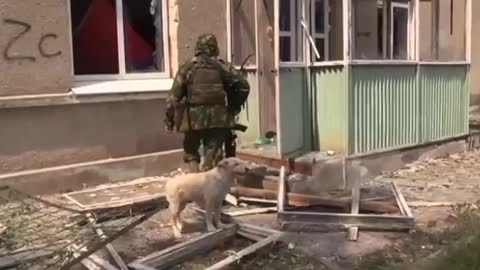 Cleansing of the territory of the LPR from Azov battalions