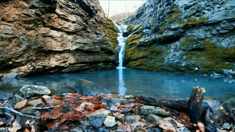 Smith Creek Preserve - Arkansas [Jan. 2021]