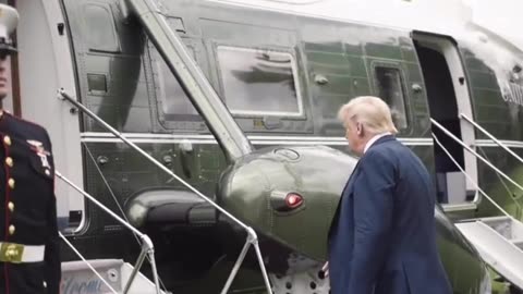 the don