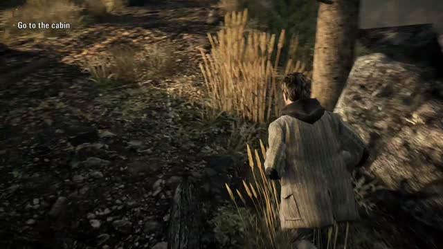 Alan Wake | part 1 | let’s talk about that rose