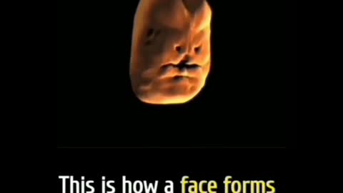 How look in womb