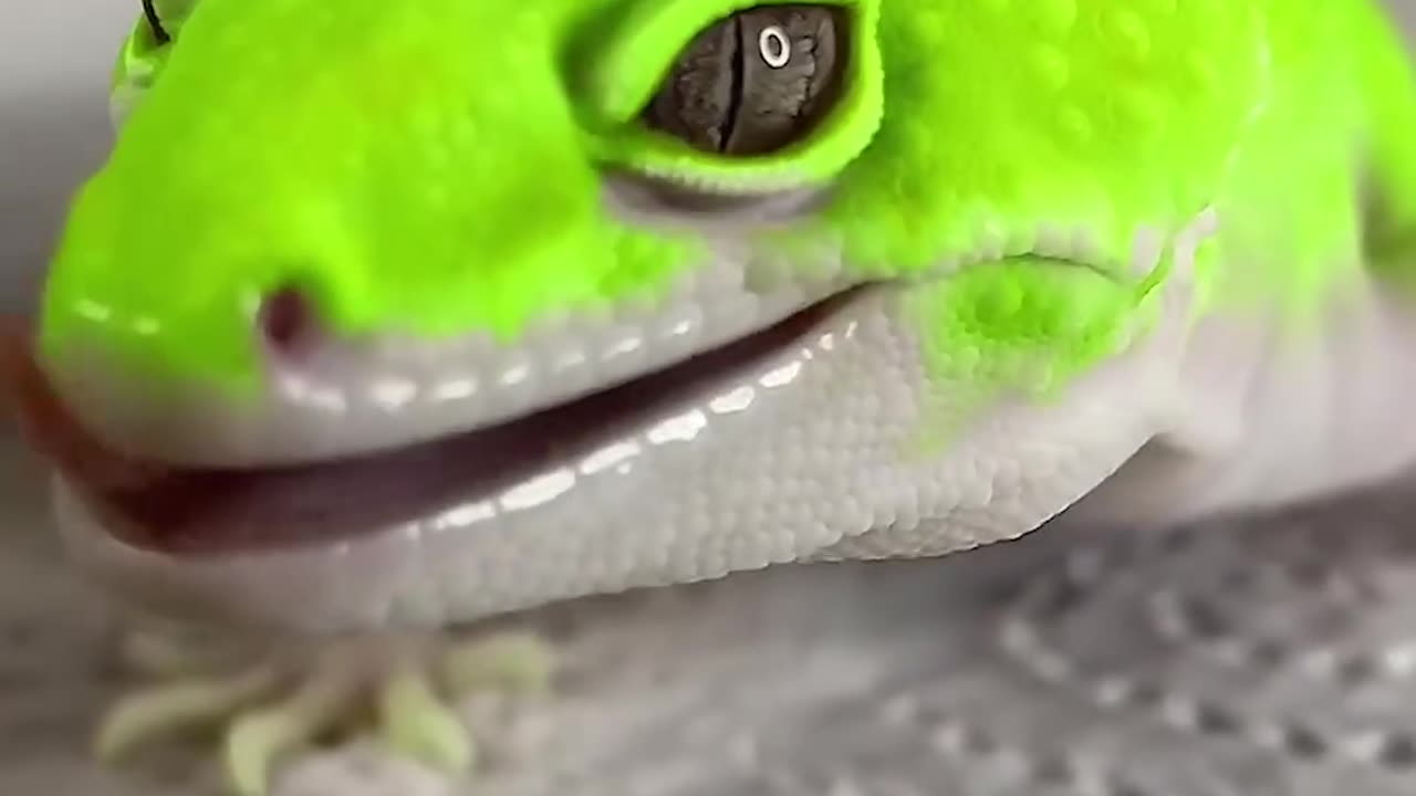 Looks like a shiny Pokémon 😳⁠