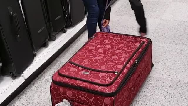 Two kids one zipped inside suitcase