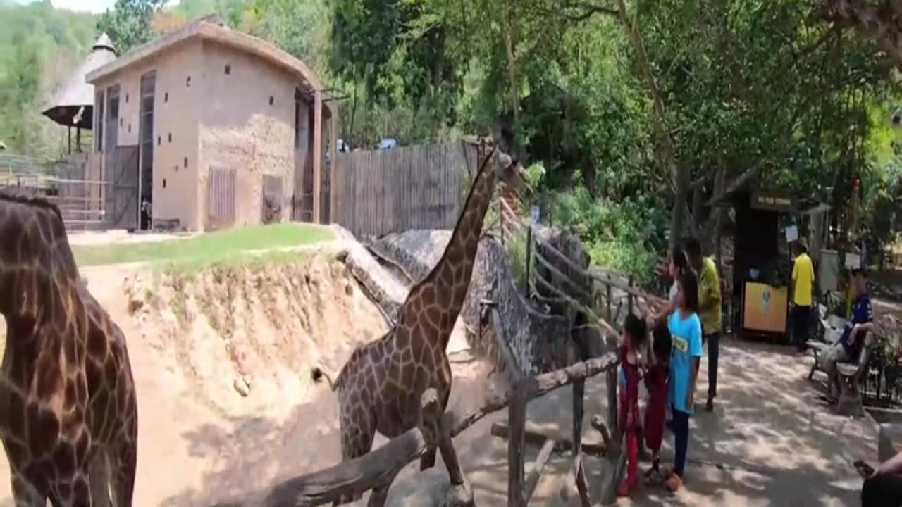 Usa Vlog24, #familyvlog #familyvlogs #shortsvideo