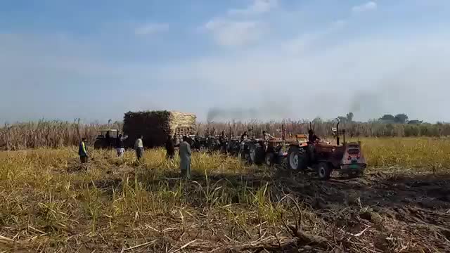 Drivers skills unbleveble