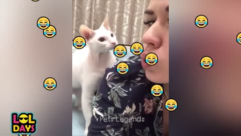 New Funny Cats and Dogs Videos...Try not to Laugh - 😂😂😂🔥