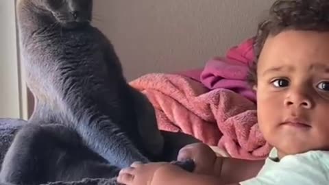 Cat meet kid for the very first time