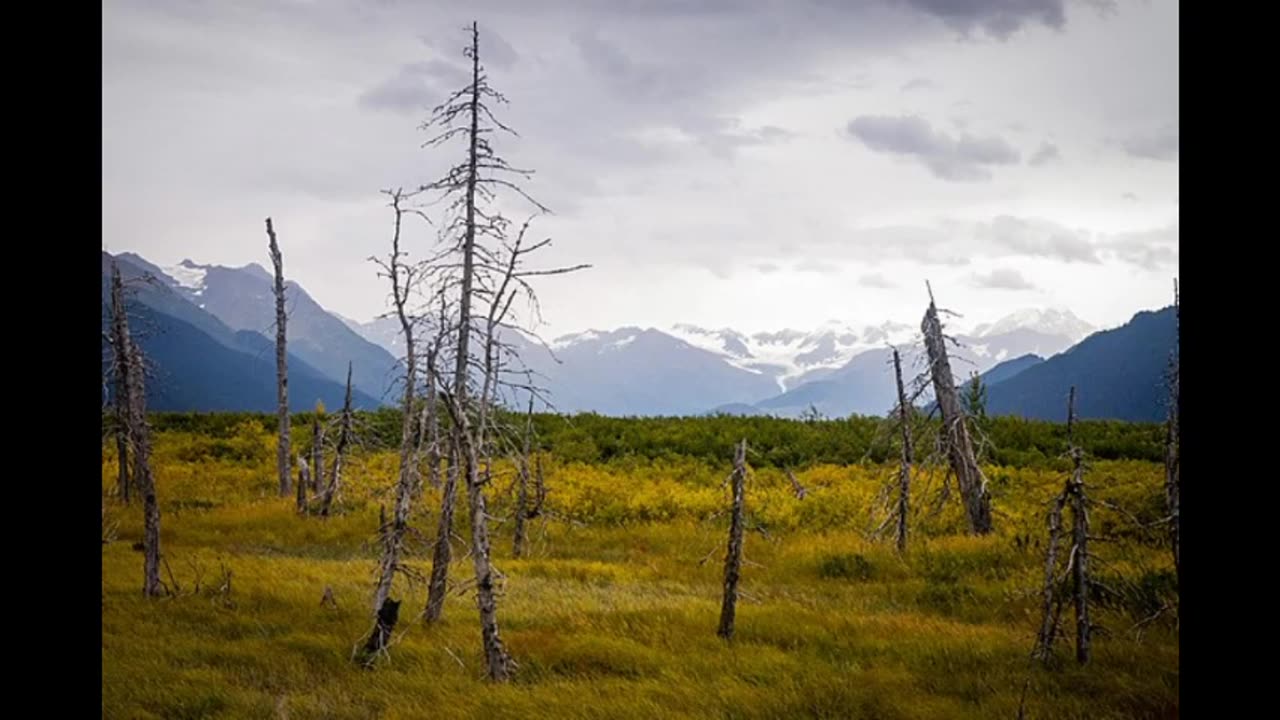 Prosecute the Climate Criminals: Holding the Powerful Accountable ????????