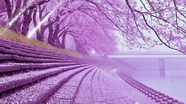 Forgive all that leave without saying goodbye, look down on all fading away!